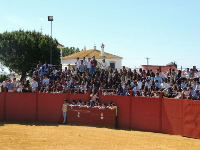  Spettatori di una corrida 